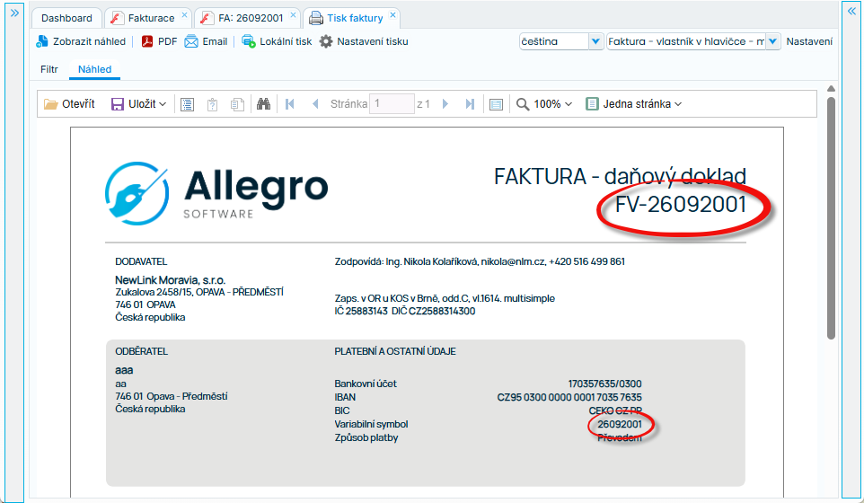Ukázka ze systému: náhled faktury s číslem